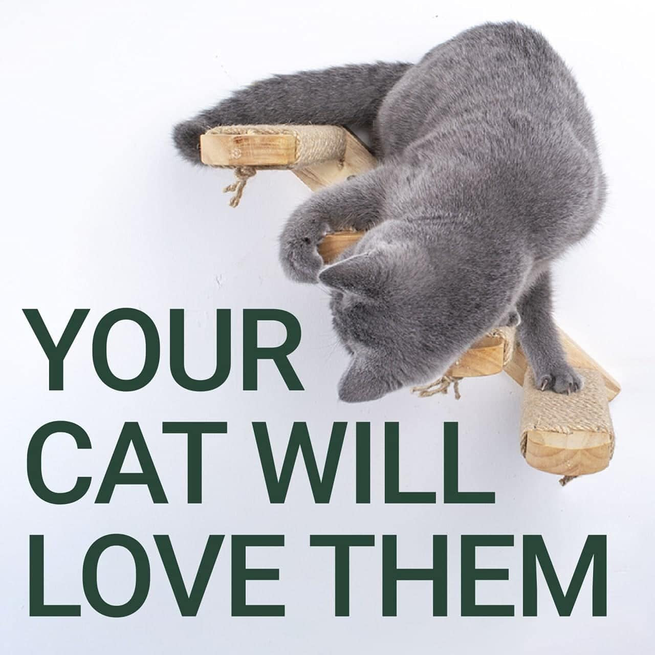 Cat Wall Steps - Solid Rubber Wood Cat Stairs Great for Scratching and Climbing - Easy to Install Wall Mounted Shelves for Playful Cats (Wood, Right-Left)