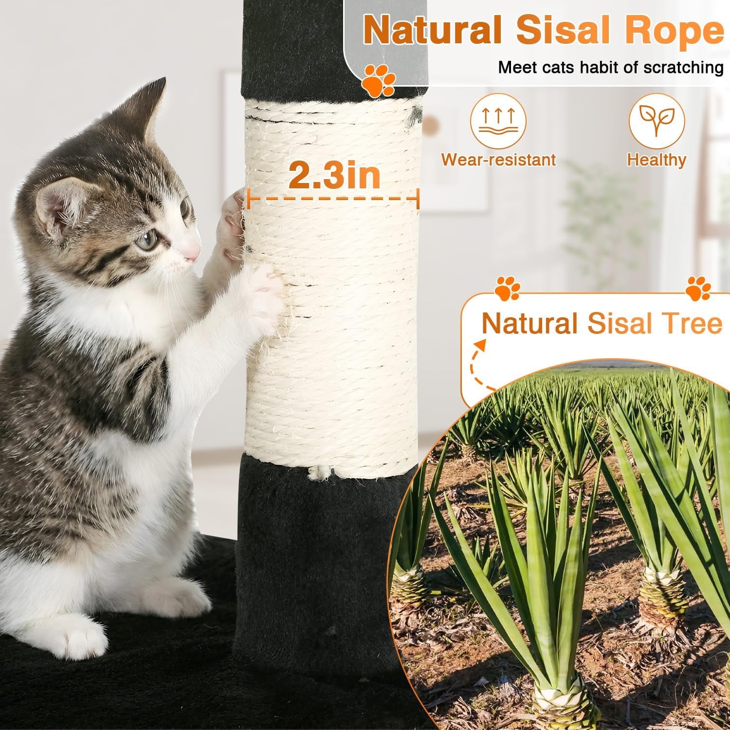 | 54" Cat Tree Tower | Dark Gray | Multi-Level Indoor Activity Center with Sisal Scratching Posts, Condos, Plush Perches, Hanging Cat Toys | Sturdy, Easy to Assemble | for Kittens & Adult Cats