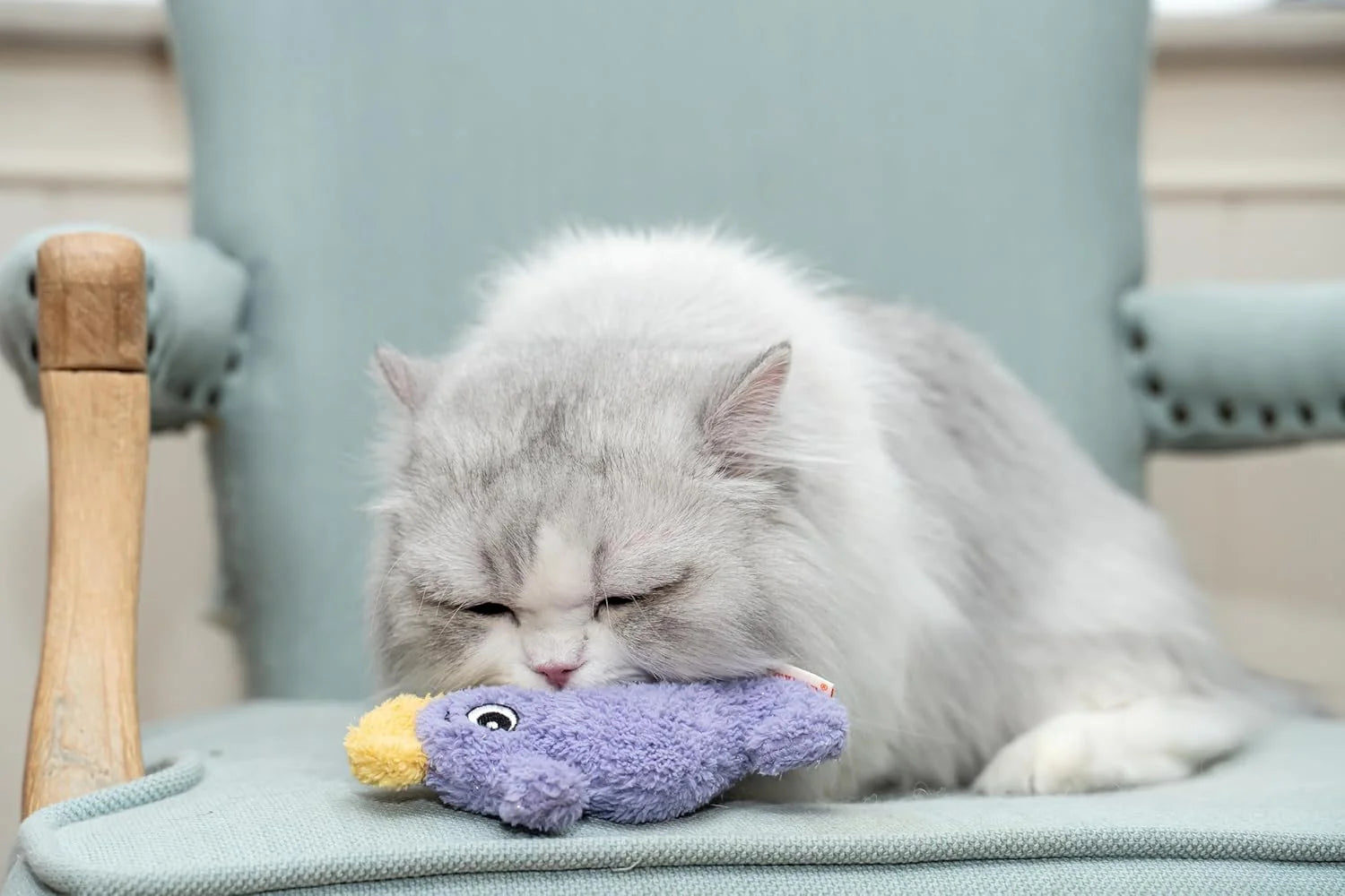 Interactive Catnip Cat Plush Toy, Ocean Theme, 5'', for All Breed Size Cats (Seahorse)