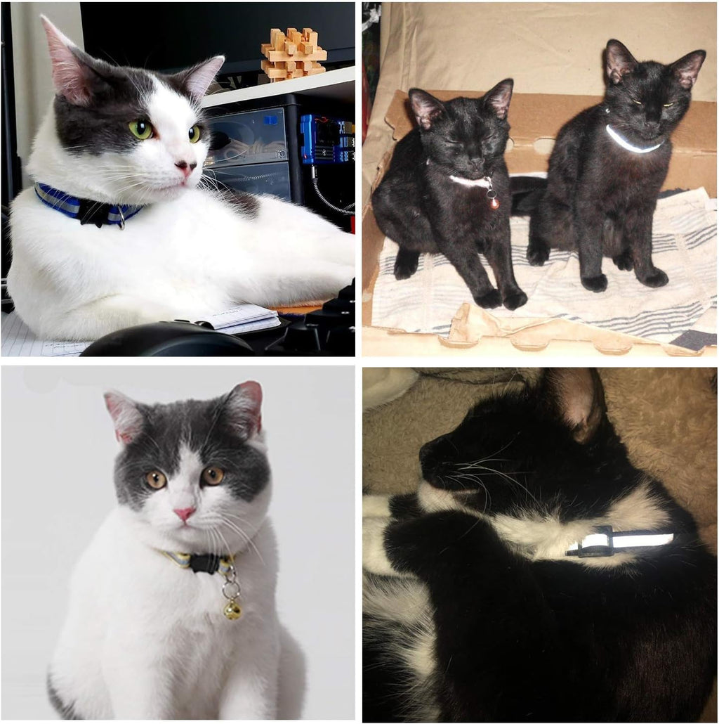 Breakaway Cat Collar with Bell, Kitten Collars Reflective Cat Collars - Ideal Size Pet Collars for Cats or Small Dogs