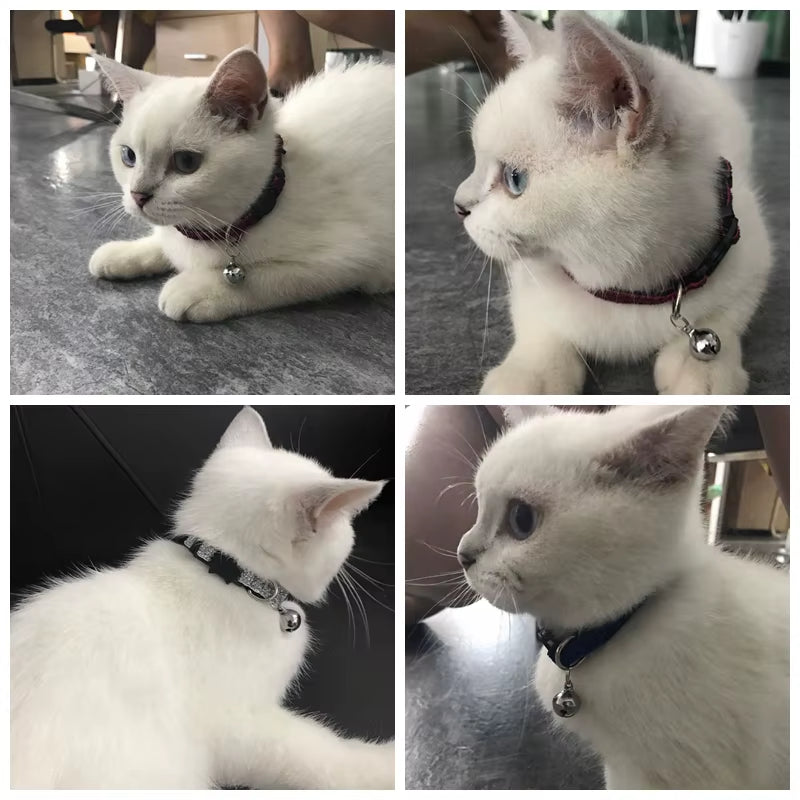 Cat Collar with Bell Dog Collar for Cats Kittens Pet Collars Cat Leashes Puppy Solid Adjustable Collar for Cat Pet Lead Supplies