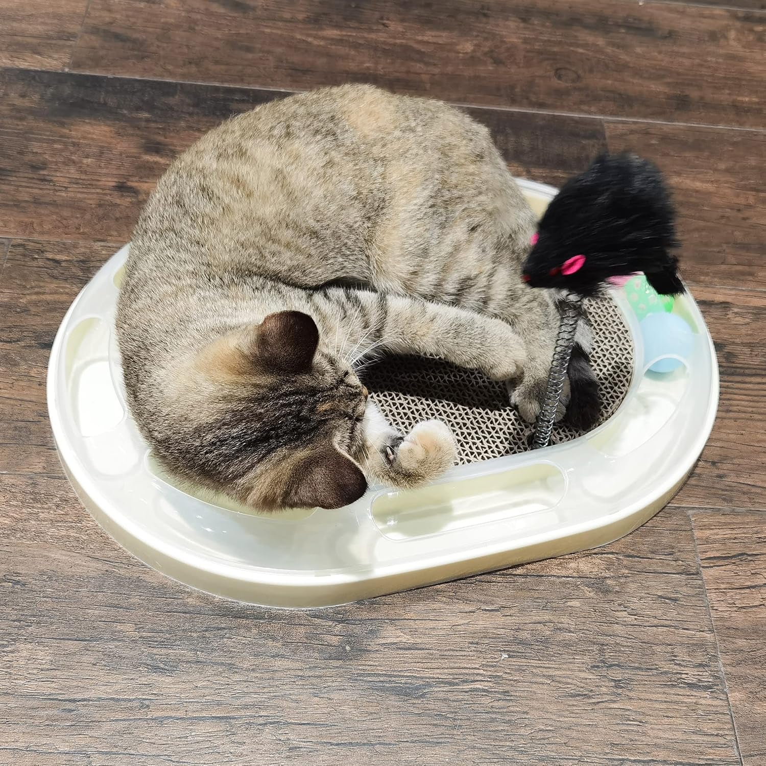 Cat Scratcher with Track,Cat Scratch Board with Catnip and Spring Mice,Cardboard Cat Scratcher with Rolling Ball,Interactive Cat Toy