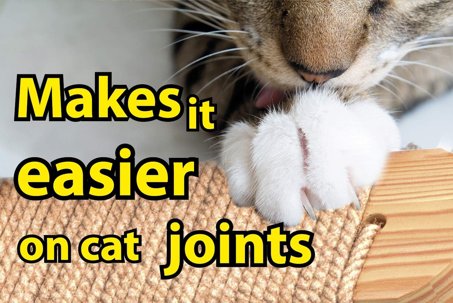 Cat Wall Steps - Solid Rubber Wood Cat Stairs Great for Scratching and Climbing - Easy to Install Wall Mounted Shelves for Playful Cats (Wood, Right-Left)